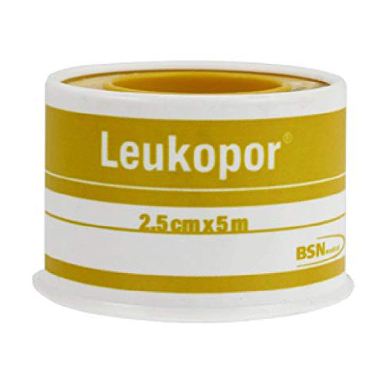 Leukopor Cerotto in viscosa 2,5 cm x 5 mt